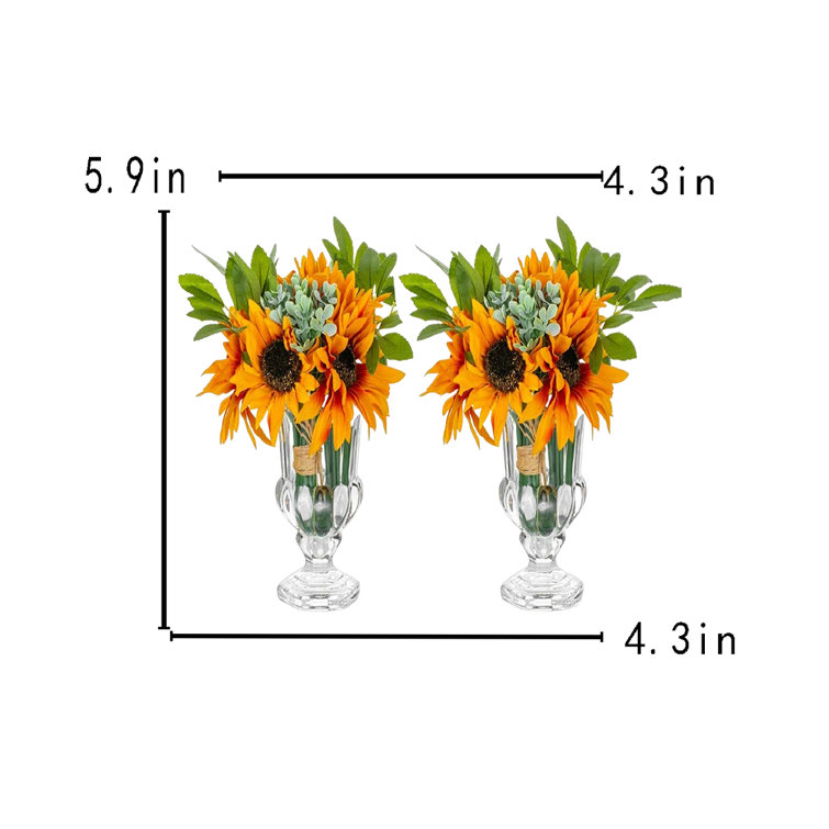 Latitude Run® 2Pcs Glass Flower Vase Thickened Crystal Footed Urn Glass